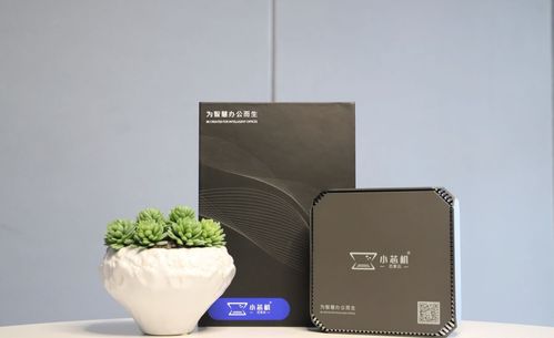 高顏值為何成為電子產品的制勝利器 以“小芯機”為例