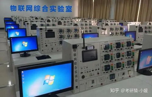 網(wǎng)絡(luò)技術(shù)服務(wù)領(lǐng)域 8個(gè)值得報(bào)考的計(jì)算機(jī)專業(yè)方向